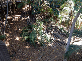 San Diego, California